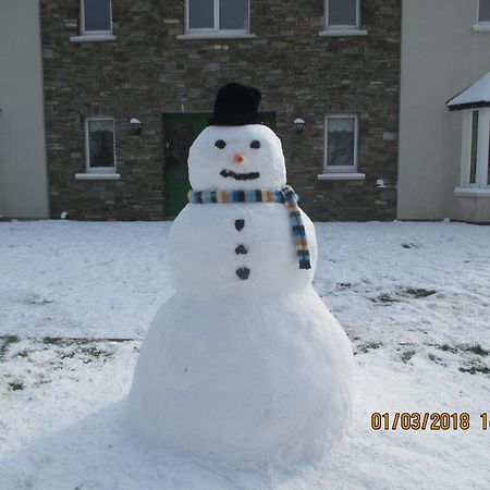 Pk Lodge Bed And Breakfast Skibbereen Bagian luar foto