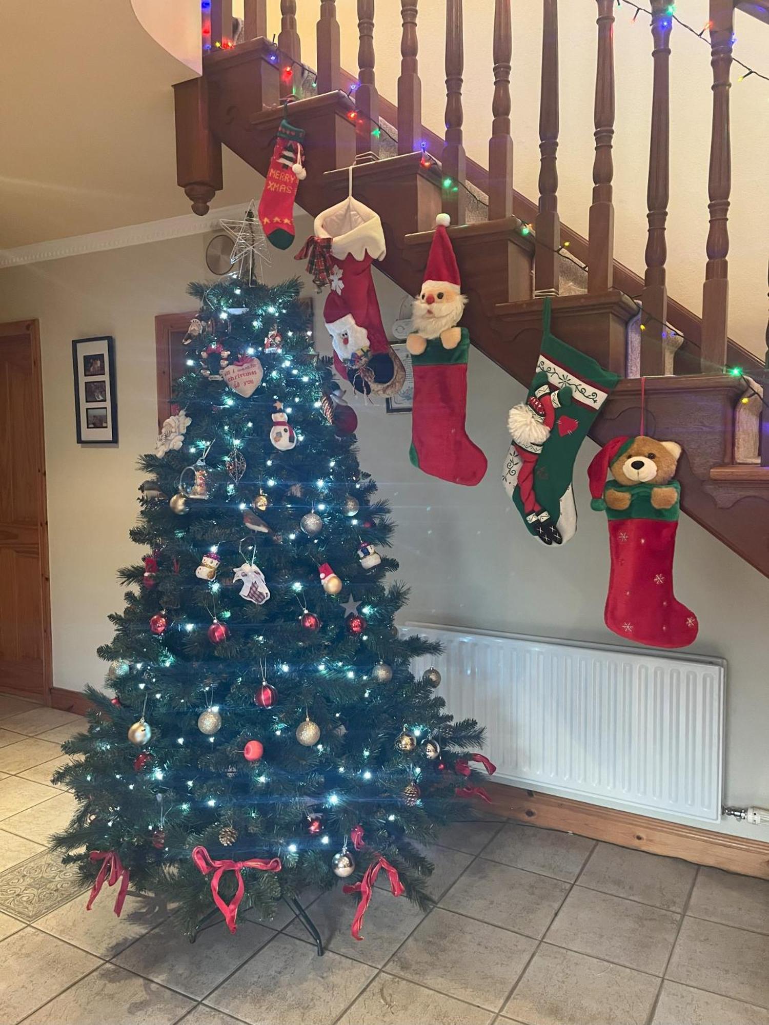 Pk Lodge Bed And Breakfast Skibbereen Bagian luar foto